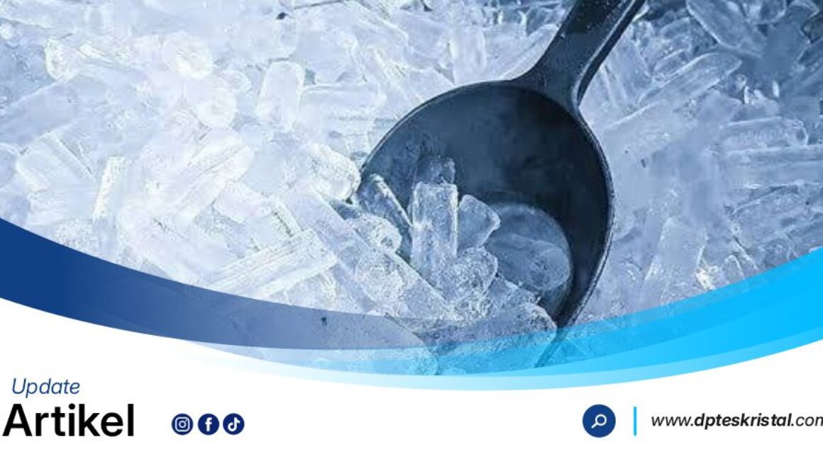 DPT Es Kristal Artikel2